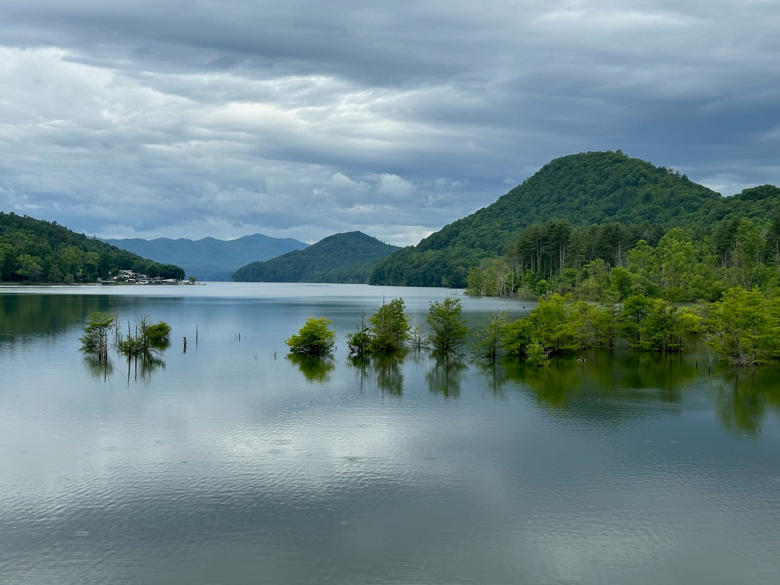 A wide overcast panorama of Watauga Lake with bare cypress trees in the foreground.