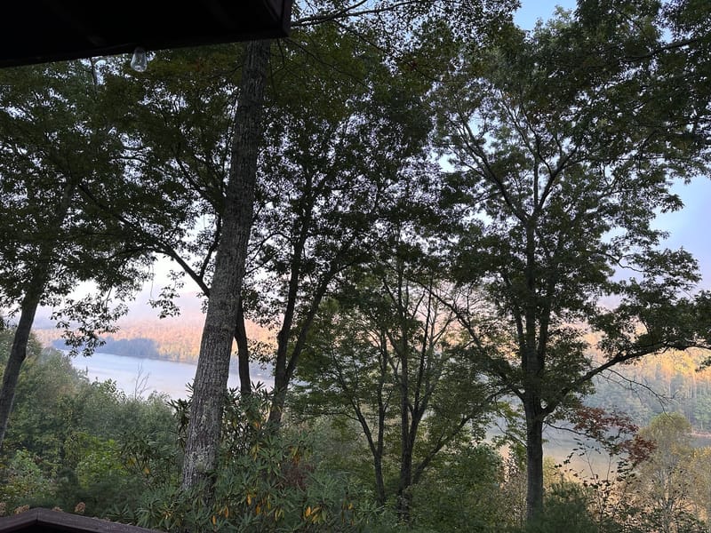 Watauga Lake glimpsed through summer foliage from the lake house deck.