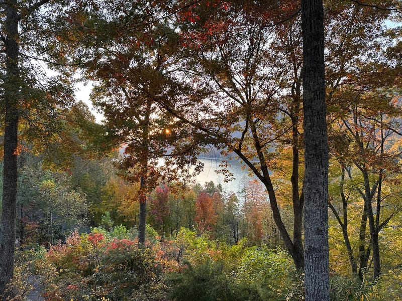 Sunset over Watauga Lake seen through autumn trees and garden plants.