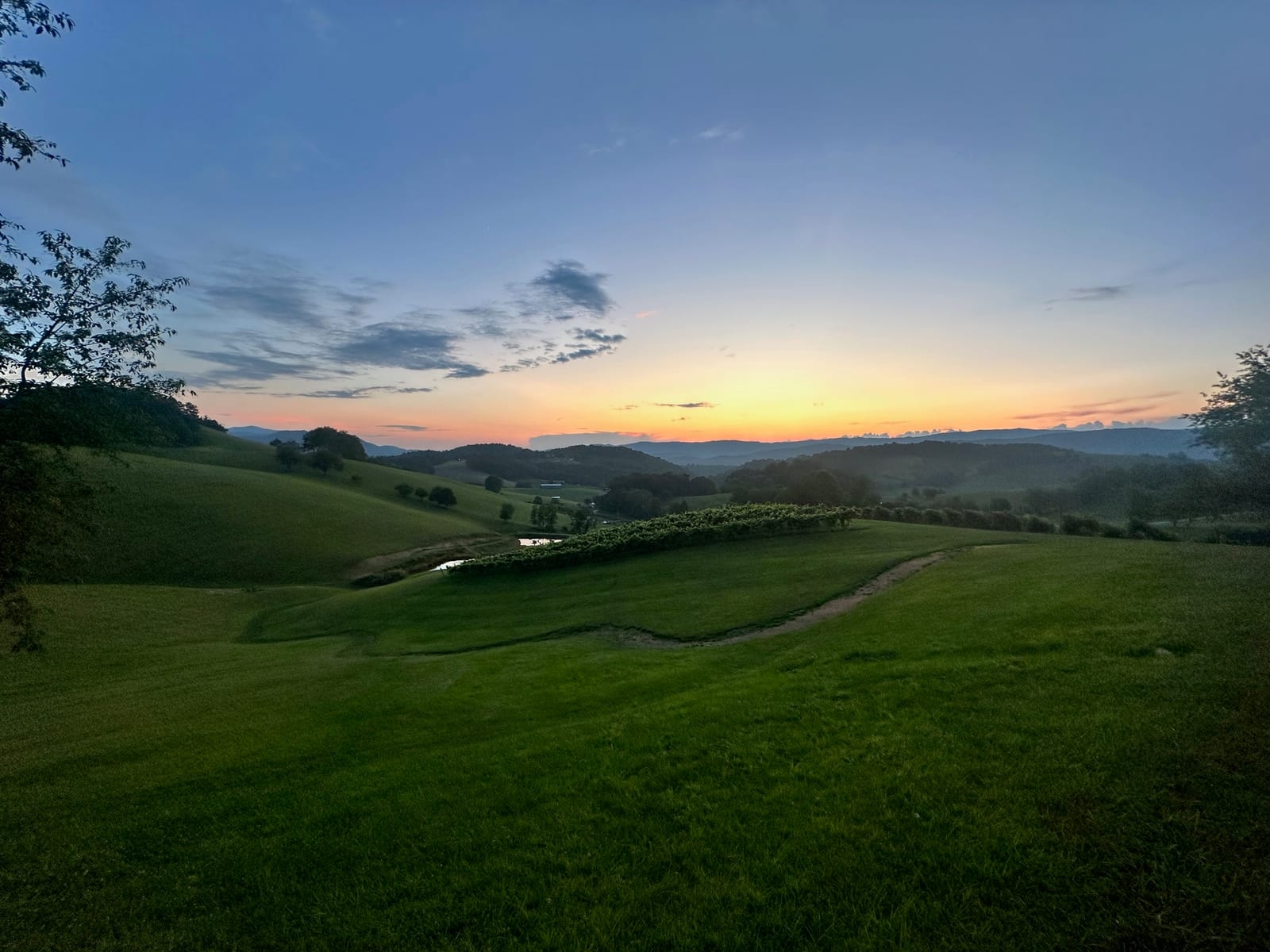 A working vineyard in the Watauga Lake area at sunset, with rolling Tennessee hills behind it — representative of the vineyard venues covered in this guide.