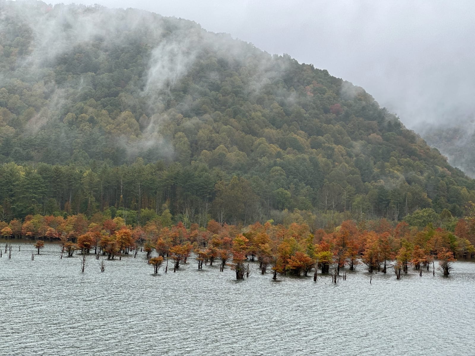Mist rising off the Cherokee National Forest mountains above Watauga Lake in late autumn.