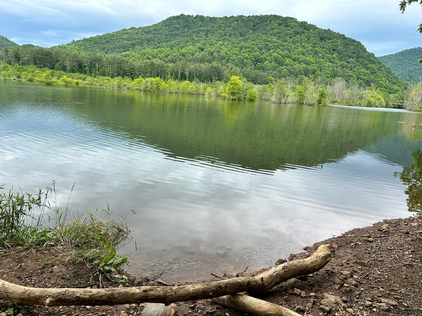 A calm, glass-still summer morning on a Watauga Lake cove with mountains reflected in the water.