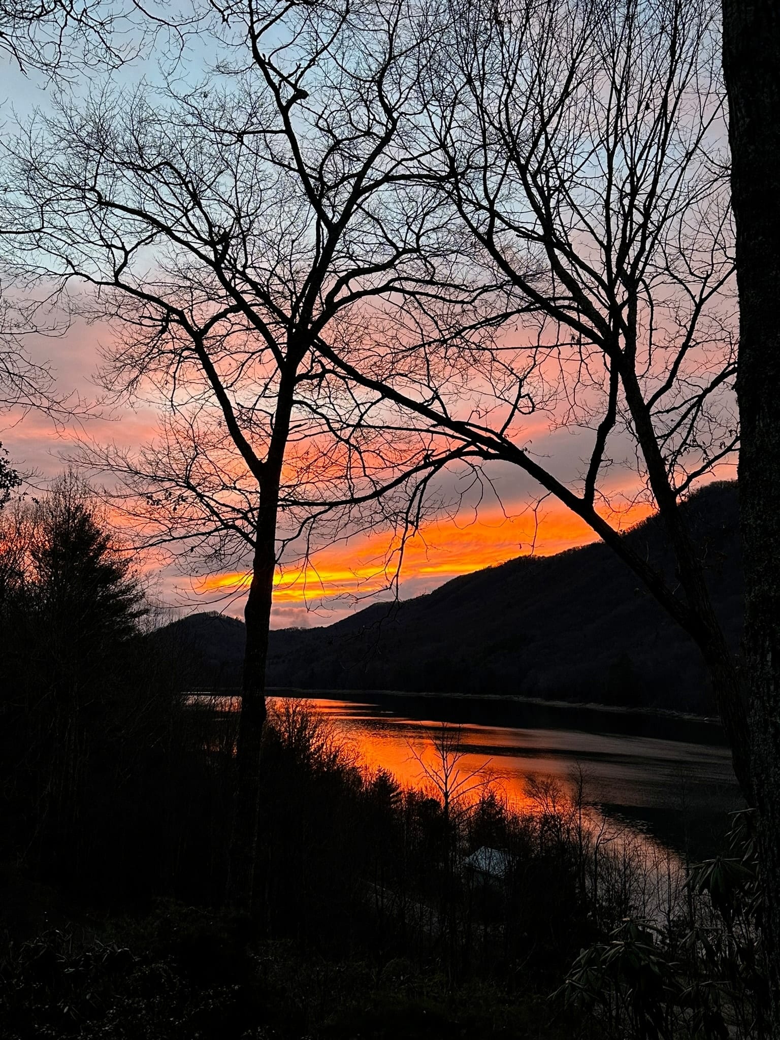 A fiery red-orange sunset behind silhouetted trees on Watauga Lake.