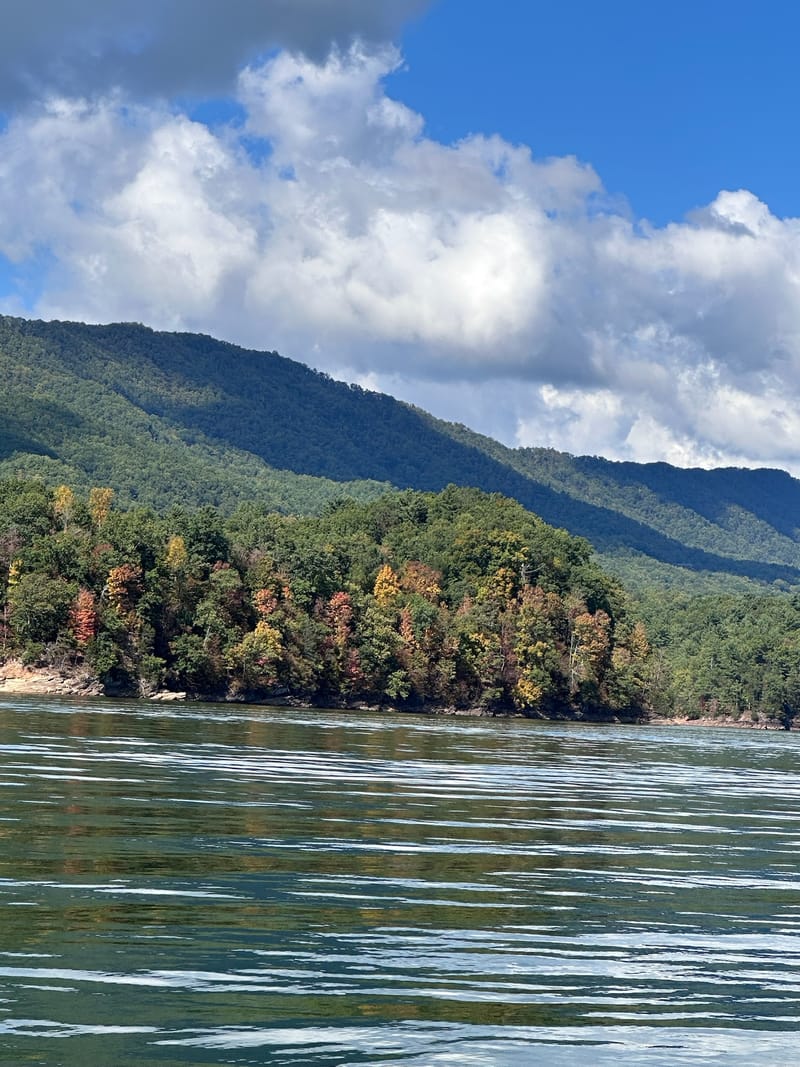 Forested mountain shoreline of Watauga Lake on a blue-sky summer day.