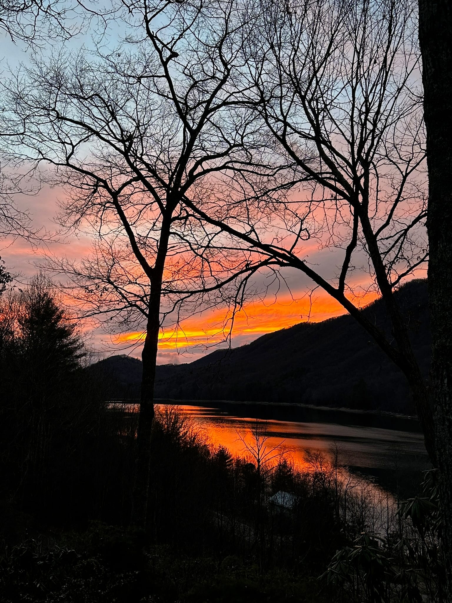 Bare-tree silhouettes against an orange-and-pink winter sunset at Watauga Lake.